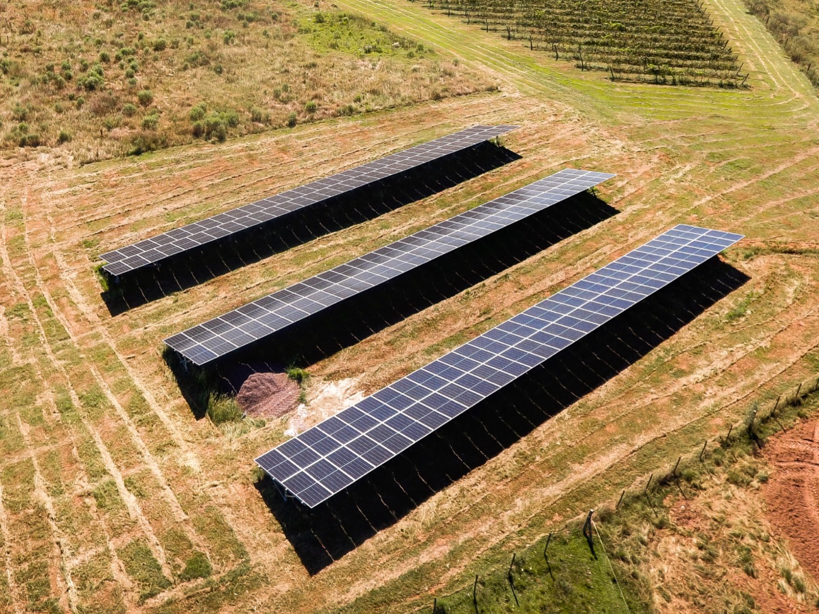 Usina solar instalada pela Sonnental entre vinhedos no Rio Grande do Sul